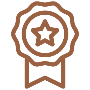 Excellence Icon